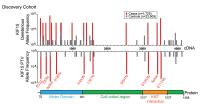 •	Rare and Common variants in KIF15 Contribute to Genetic Risk of Idiopathic Pulmonary Fibrosis